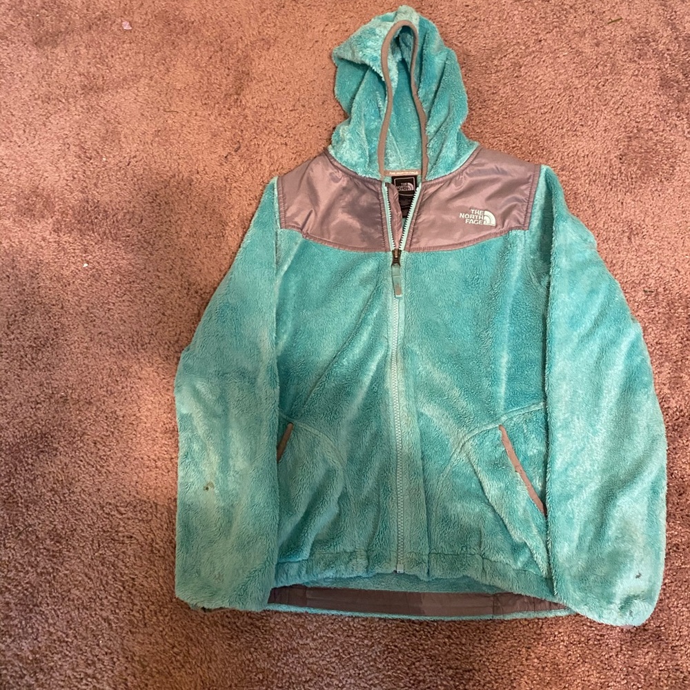 Blue The NorthFace Jacket